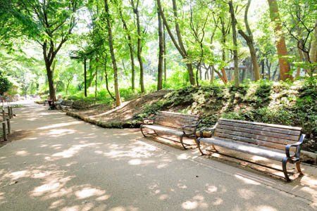 近くの都立林試の森公園北門まで472m(徒歩6分)