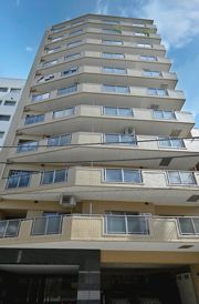 ドメイン入谷ステーションプラザの外観画像