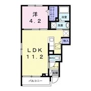 メゾンわかばの間取り画像