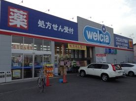 近くのウエルシア 柏酒井根店まで542m（徒歩7分）