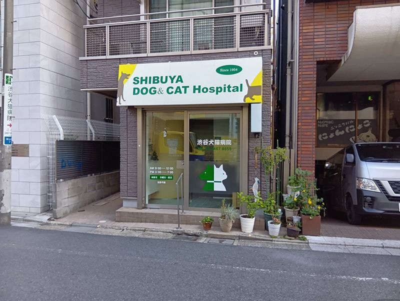 近くの渋谷犬猫病院まで495m（徒歩7分）