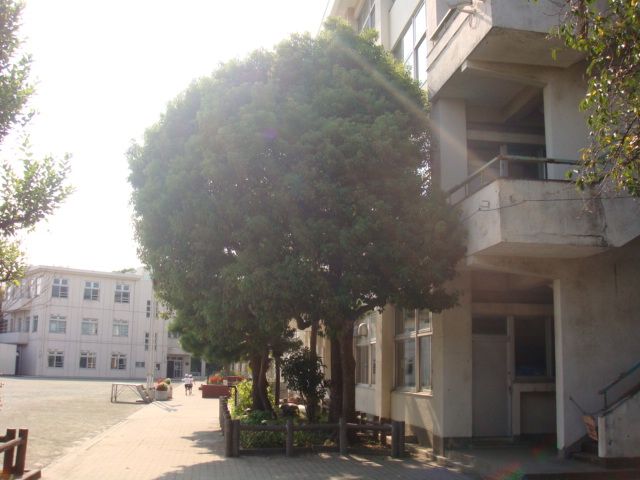 近くの羽村市立羽村東小学校まで539m（徒歩7分）