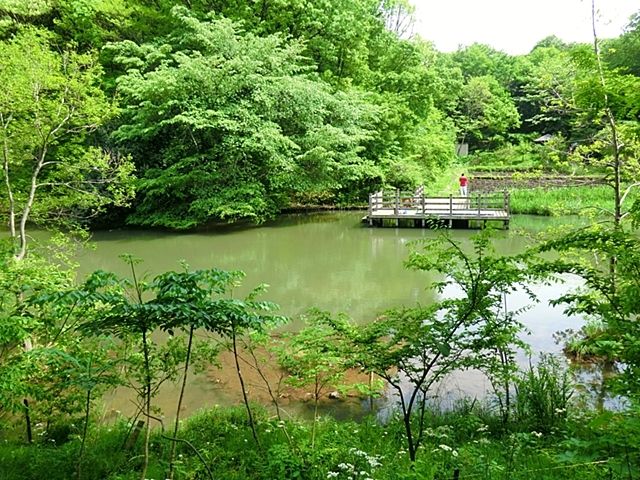 近くの茅ヶ崎公園まで20m（徒歩1分）