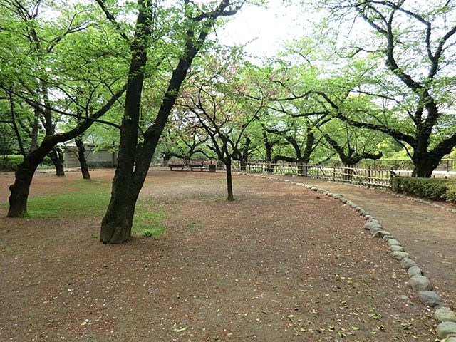 近くの哲学堂公園まで850m（徒歩11分）