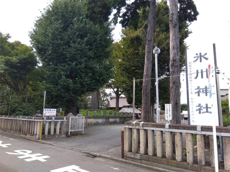 近くの氷川神社まで319m（徒歩4分）