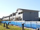 ステラの間取り画像