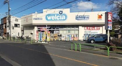 近くのウエルシア練馬向山店まで383m（徒歩5分）