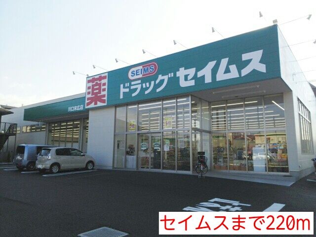 近くのセイムスまで220m（徒歩3分）
