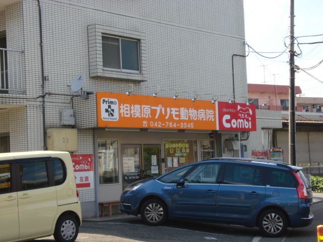 近くの動物病院まで30m（徒歩1分）