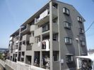 ドエルハイネスの間取り画像