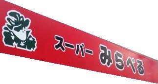 近くのスーパーみらべる西巣鴨店まで459m（徒歩6分）