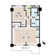 グレイス綱島第2の間取り画像