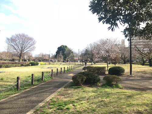 近くの都立東大和南公園まで1,883m(徒歩24分)