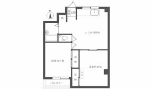 アイビーハイツの間取り画像
