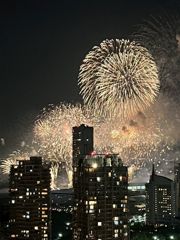 幕張ベイパーク ミッドスクエアタワーの間取り画像