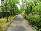 フォレストコート木場の間取り画像