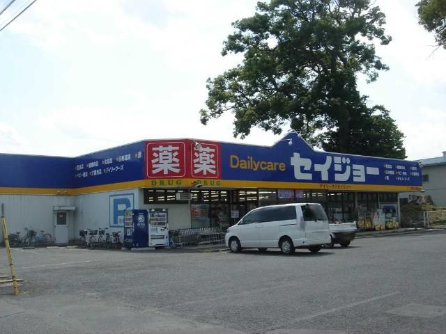 近くのデイリーケアセイジョー大宮七里店まで296m(徒歩4分)