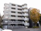 ガルファーサ新横浜の間取り画像