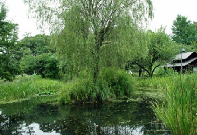 近くの新川丸池公園まで170m(徒歩3分)
