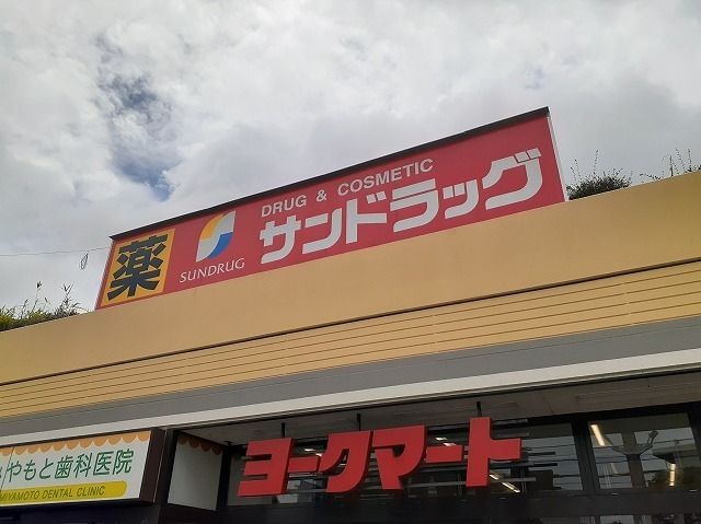 近くのサンドラッグ藤原店まで750m(徒歩10分)
