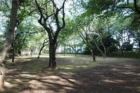 近くの上野毛自然公園まで532m(徒歩7分)