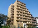メインステージTOKYO・NORTH HY’sの間取り画像