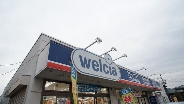 近くのウエルシア毛呂本郷店まで850m(徒歩11分)