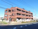 メゾンドールさくらの間取り画像