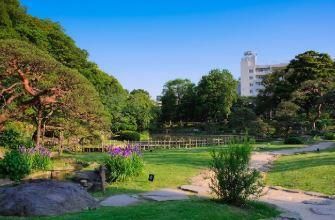 近くの新江戸川公園まで379m（徒歩5分）