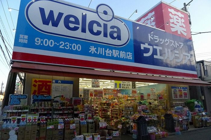 近くのウエルシア氷川台駅前店まで306m(徒歩4分)