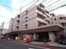 ロジマン武蔵小山の間取り画像