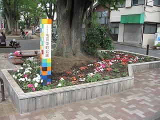 近くの玉川中町公園まで885m(徒歩12分)