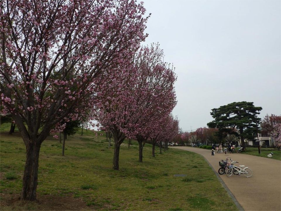 近くの東京都立東伏見公園まで1,253m（徒歩16分）