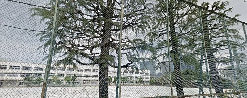 近くの品川区立大崎中学校（大崎）まで163m（徒歩3分）