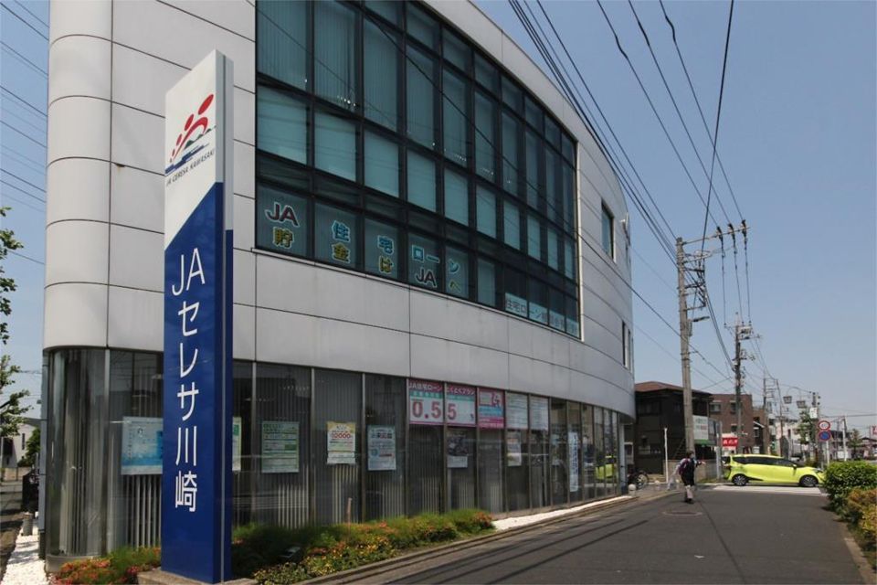 近くのJAセレサ川崎日吉支店まで366m(徒歩5分)