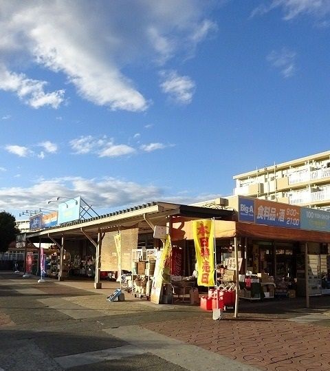 近くのBig-Aまで550m(徒歩7分)