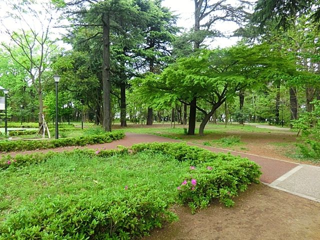 近くの江古田の森公園まで500m(徒歩7分)