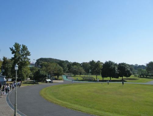 近くの大宮第三公園まで162m（徒歩3分）