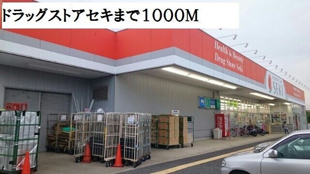 近くのドラッグストアセキまで1,000m（徒歩13分）