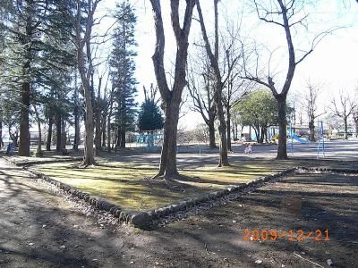 近くの昭和公園まで892m(徒歩12分)