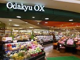 近くのOdakyu OX(オダキュウ オーエックス) 万福寺店まで1,159m(徒歩15分)