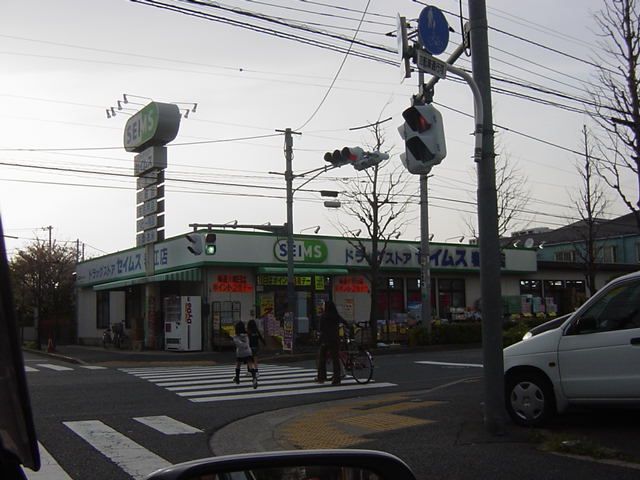 近くのドラッグストアまで300m(徒歩4分)