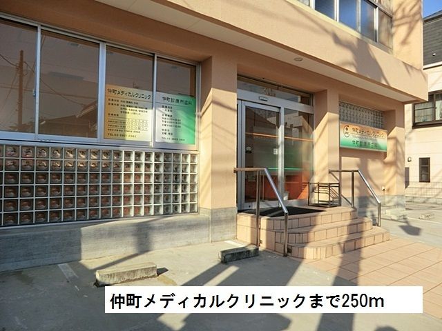近くの仲町メディカルクリニックまで250m(徒歩4分)