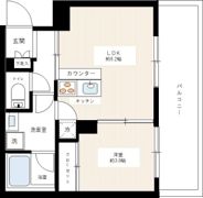 MAXIV小竹向原の間取り画像