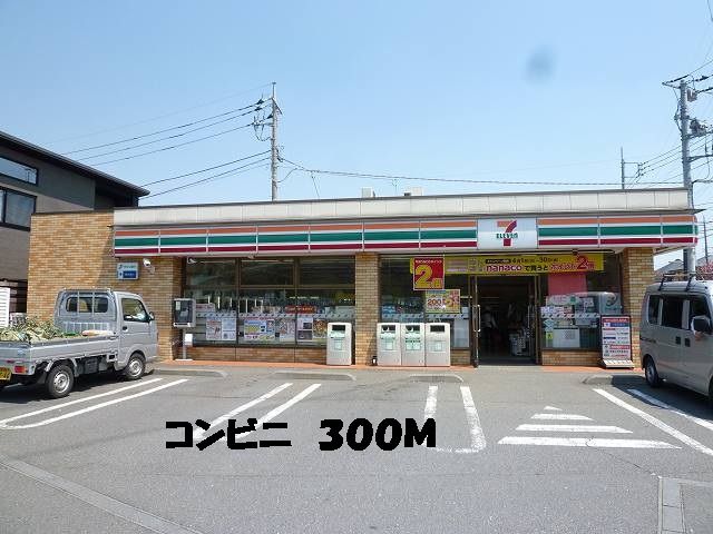 近くのコンビニまで300m(徒歩4分)