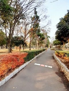 近くの城北公園まで156m(徒歩2分)