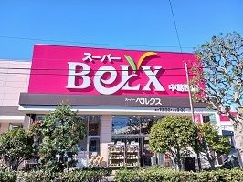 近くのベルクスまで700m（徒歩9分）