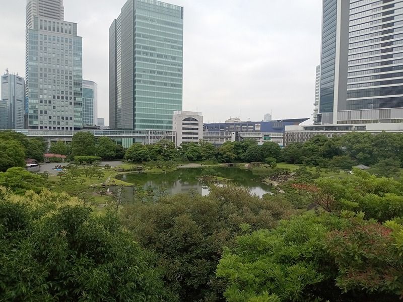 近くの旧芝離宮恩賜庭園まで704m(徒歩9分)