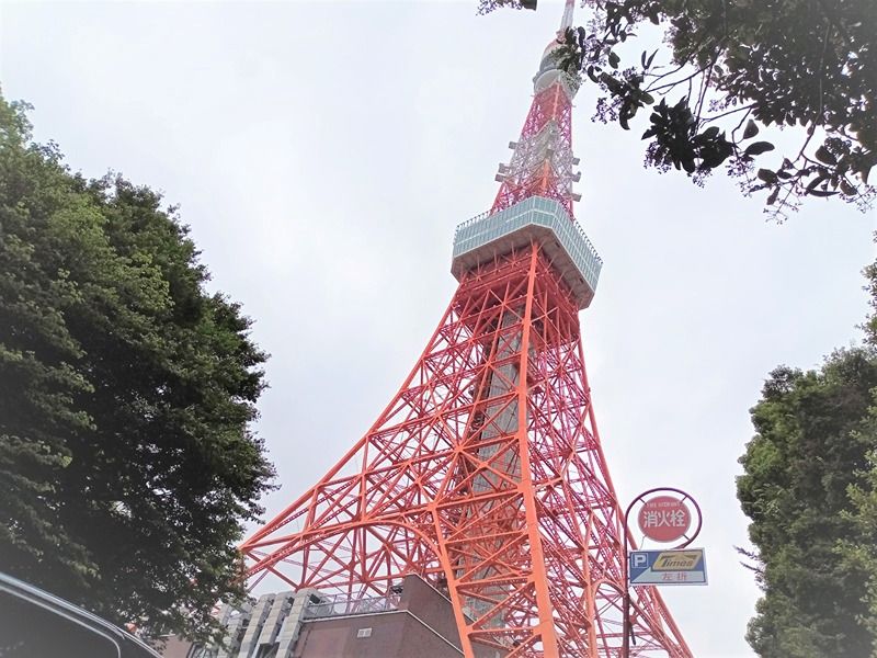 近くの東京タワーまで769m(徒歩10分)