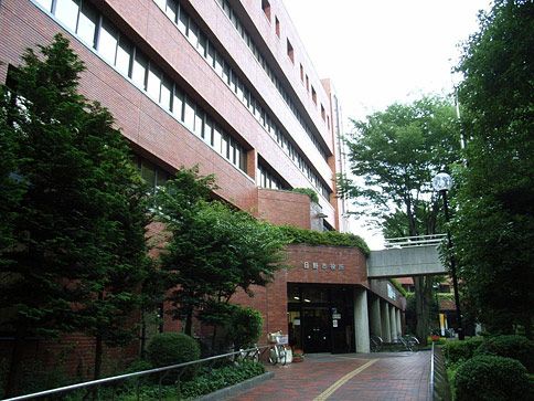 近くの日野市役所まで600m(徒歩8分)
